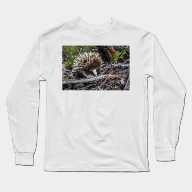 Echidna Encounter Long Sleeve T-Shirt by Geoff79